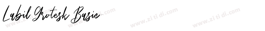 Labil Grotesk Basic字体转换